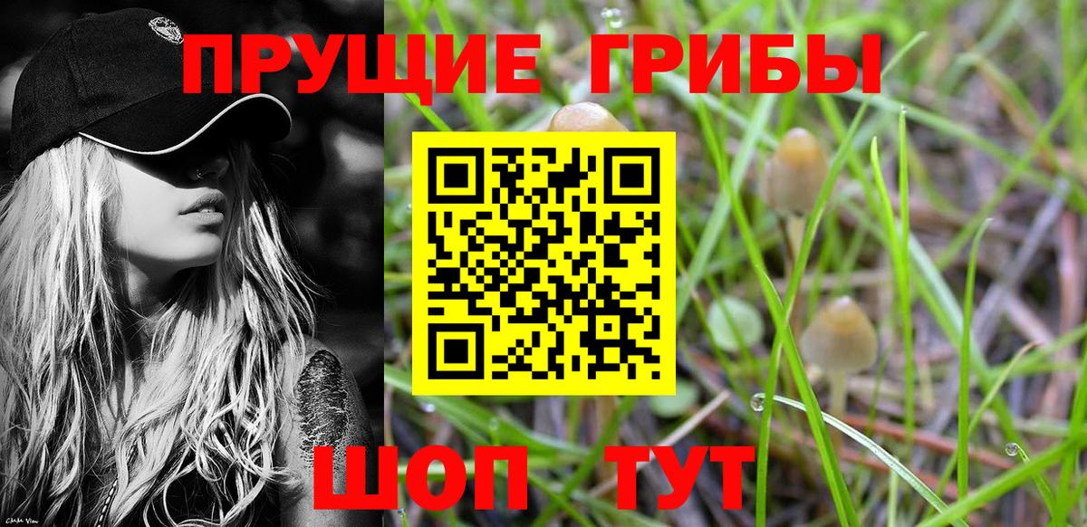 Дедовск  Галлюциногенные грибы ЛСД  Вход с VPN 